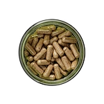 Fadogia Agrestis capsule
